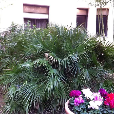 Bahia Hotell 3*